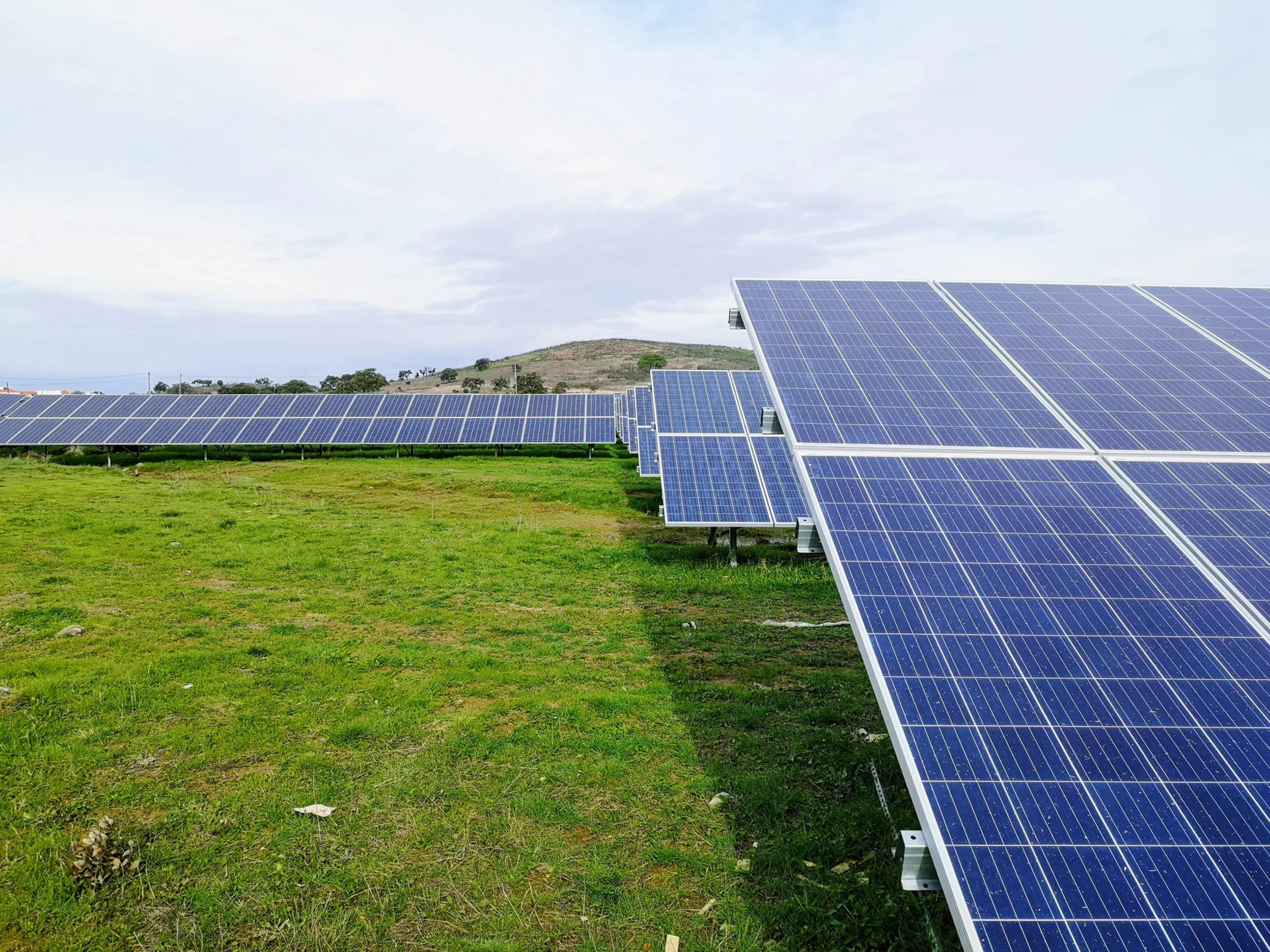 Solaranlage auf einer großen, grünen Wiese
