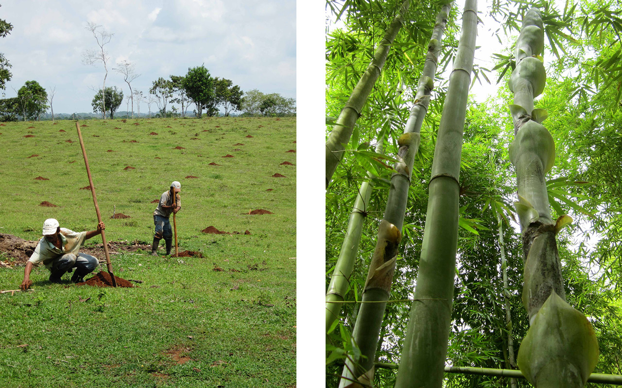 Quelle: Climate Partner
