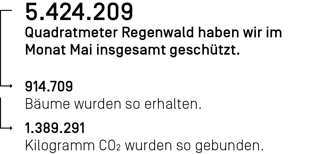5.424.209 Quadratmeter Regenwald haben wir im Monat Mai ingesamt geschützt.