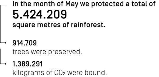 In the month December we protected a total of 5,424,209 square meters of rainforest.