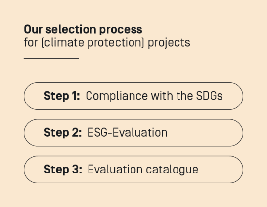 our selection process for projects