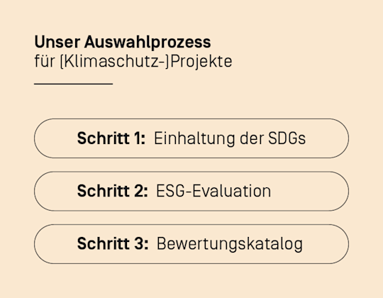 Auswahlprozess Projekte