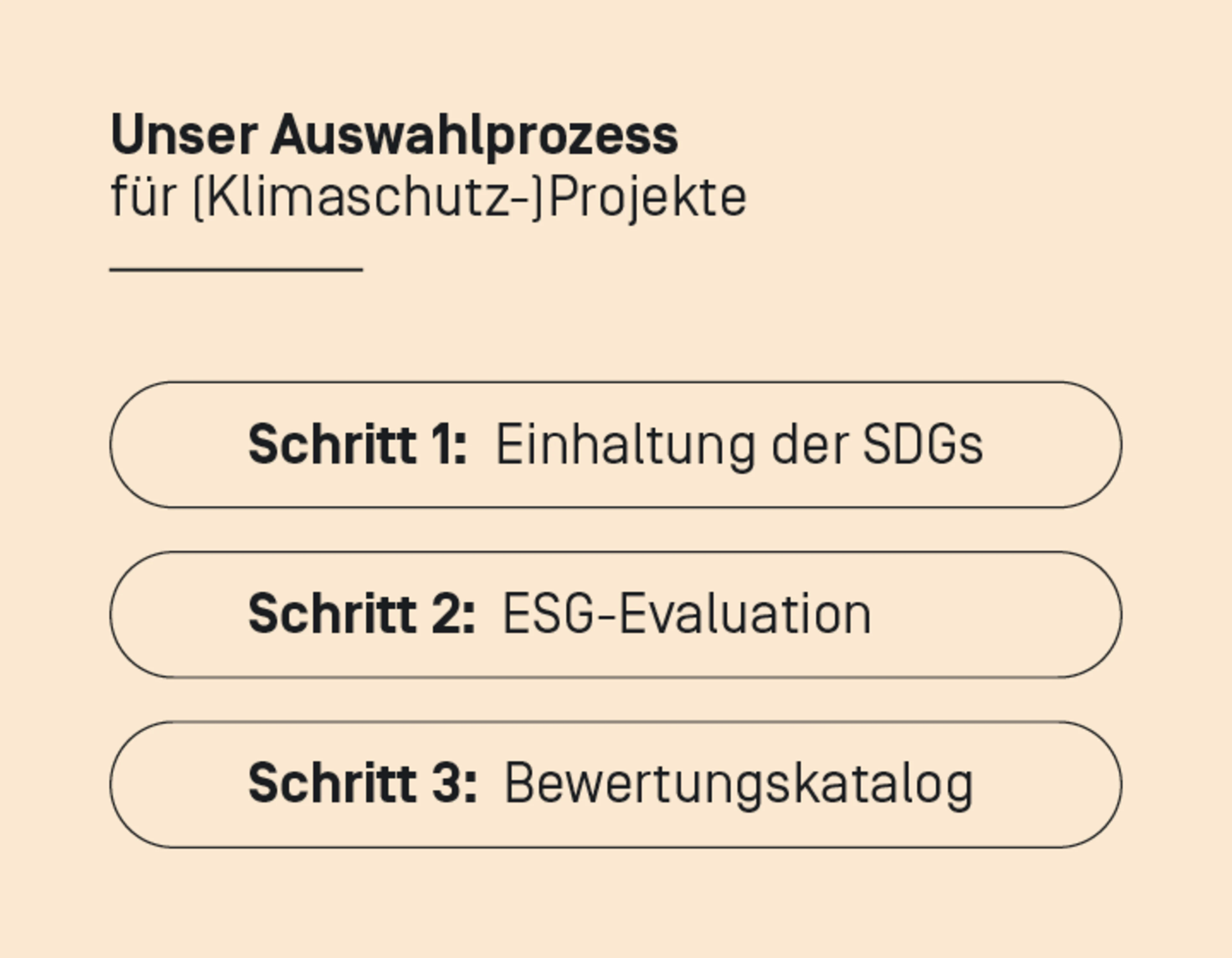 Auswahlprozess Projekte