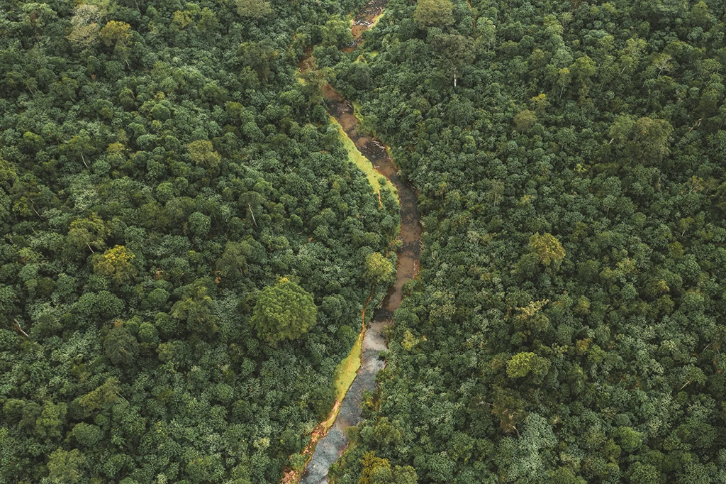 Das Bild zeigt die Landschaft vor Ort