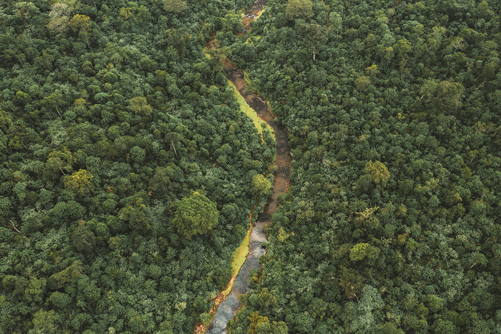 The picture shows the landscape on site