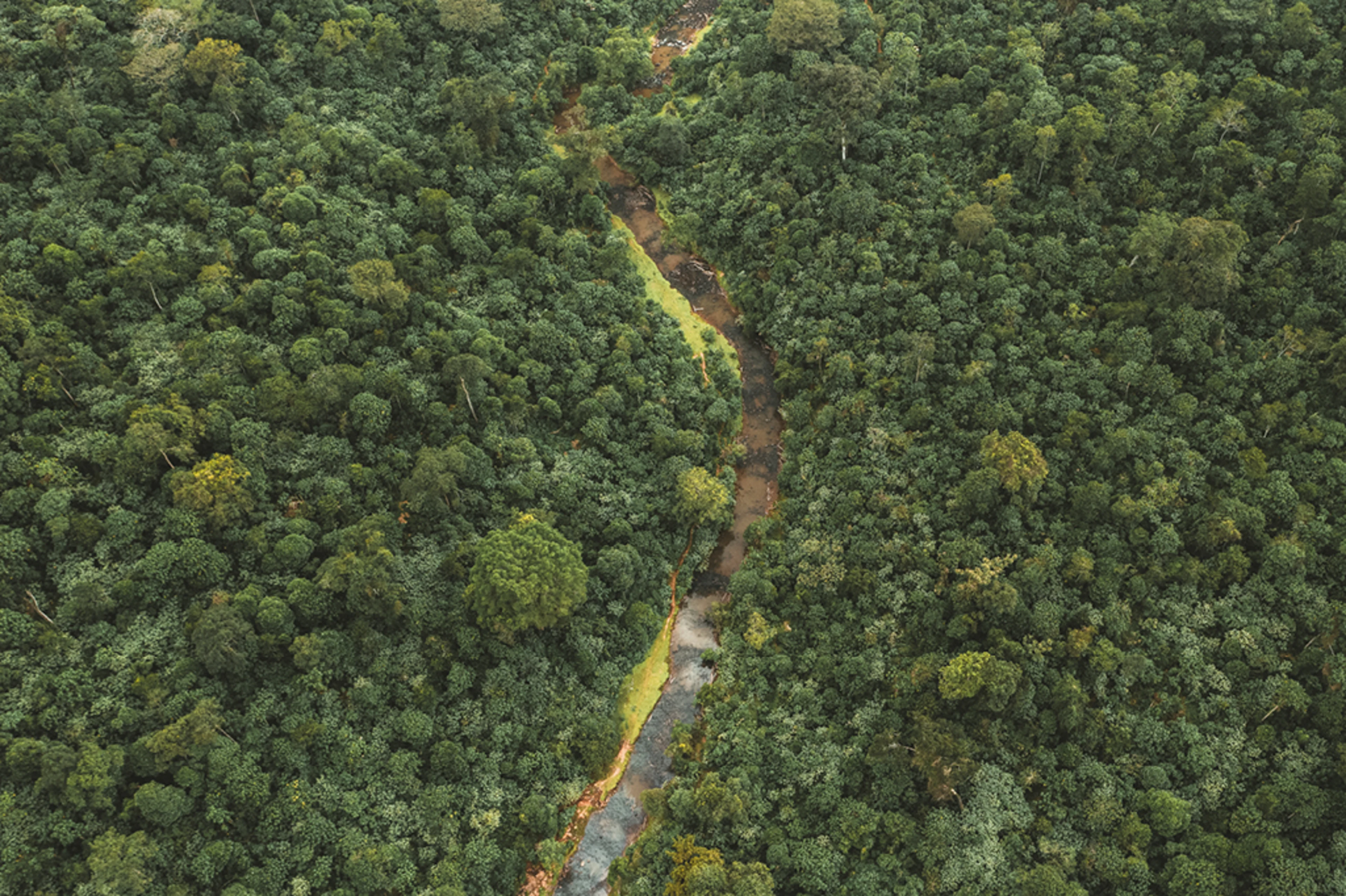 The picture shows the landscape on site
