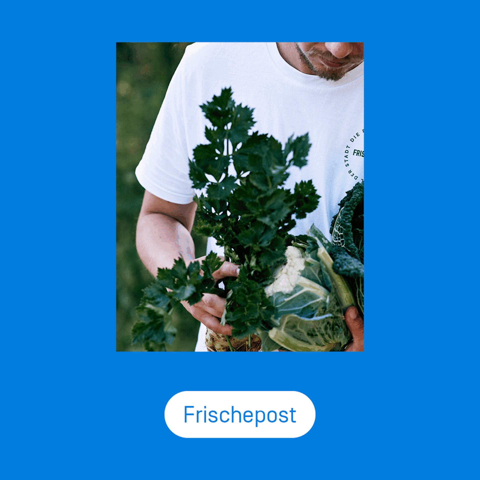 Gif mit mehreren Benefits Brands