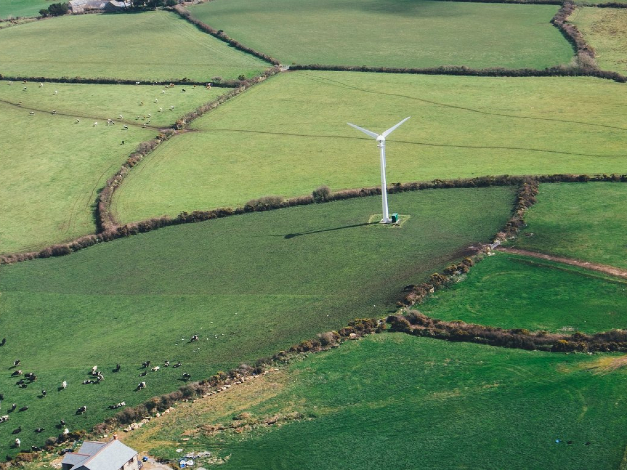 Windkraftanlage auf einem grünen Feld