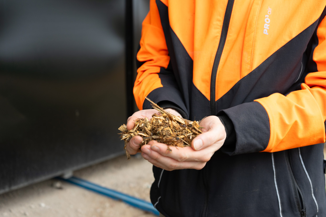 The picture shows two hands holding pieces of plants and wood.