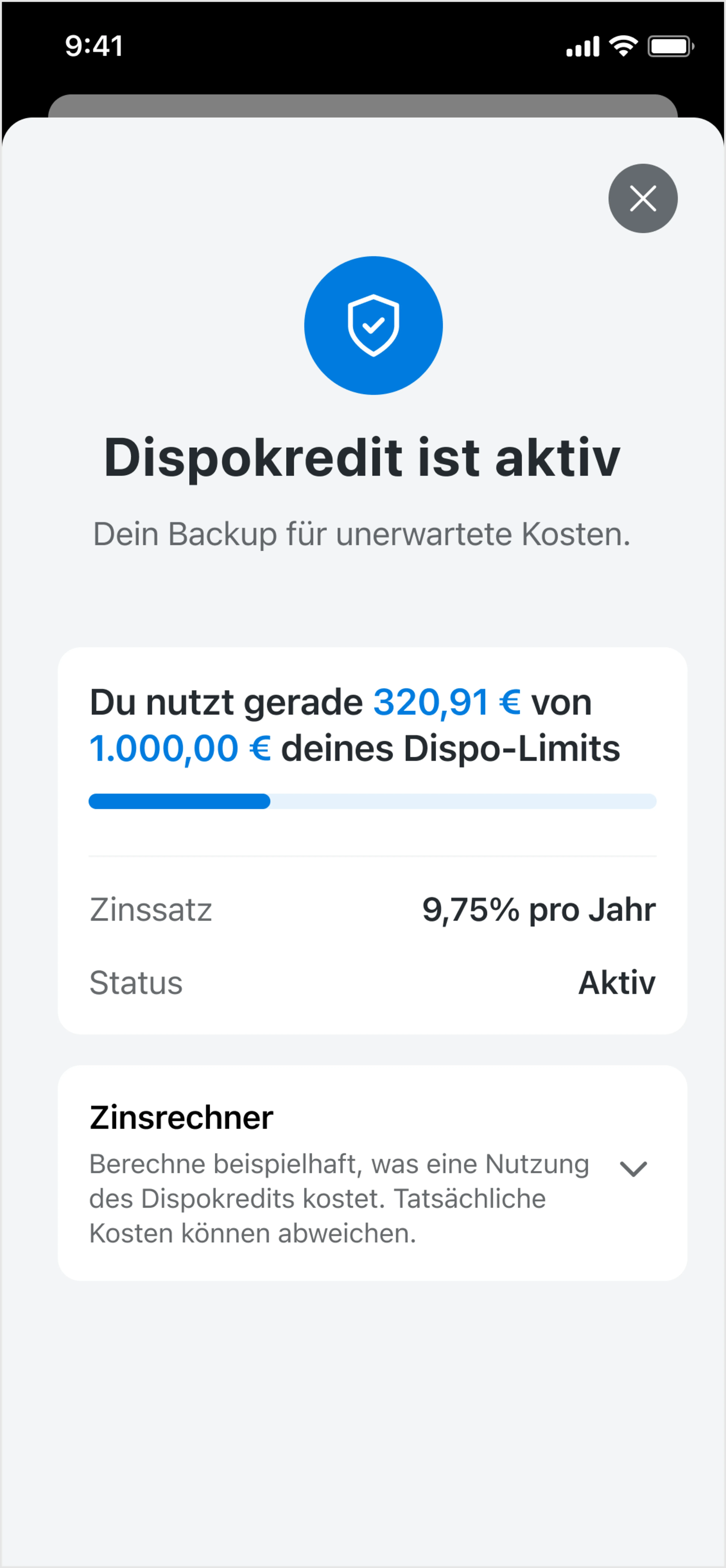 Das Dispokredit Feature in der App