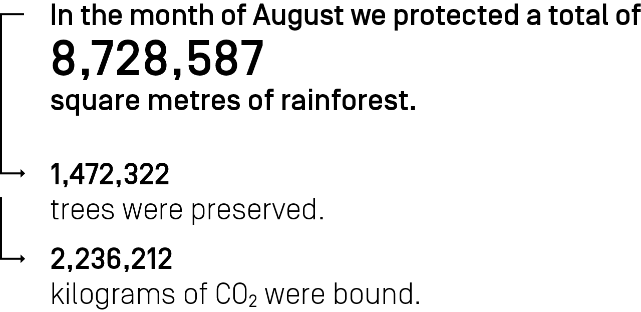 In the month August we protected a total of 8,728,587 square meters of rainforest.