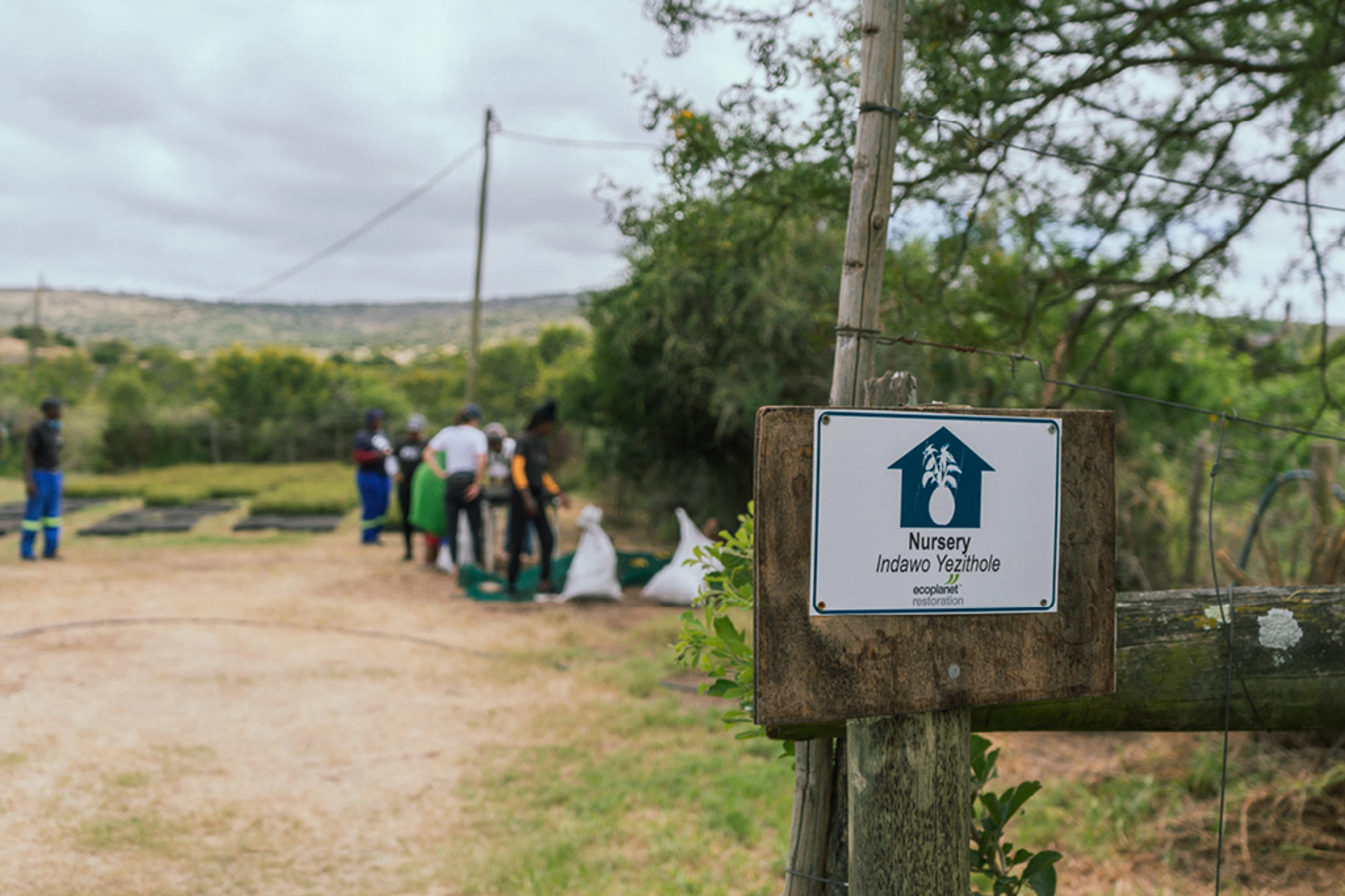 The picture shows the site of the Spekboom renaturation project in South Africa