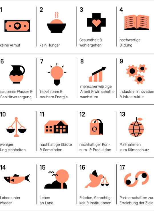 Überblick der 17 Sustainable Development Goals