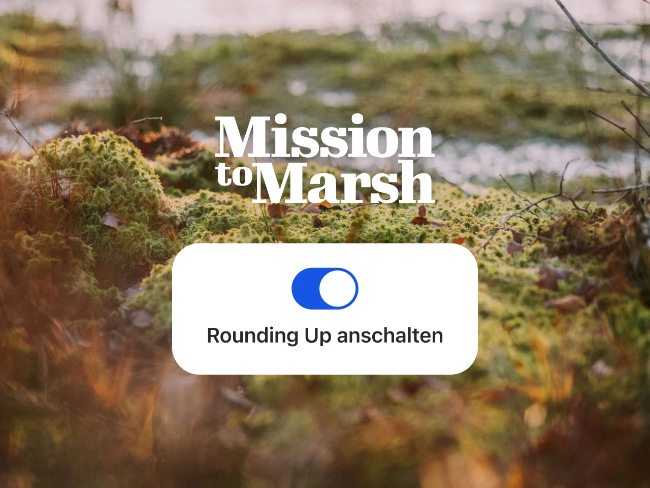 Die Fotografie zeigt die Vegetation eines Moors in Nahaufnahme. Große weiße Buchstaben bilden das Logo der Organisation "Mission to Marsh". Darunter befindet sich die Schaltfläche aus der Tomorrow-App, mit der Rounding Up aktiviert wird.