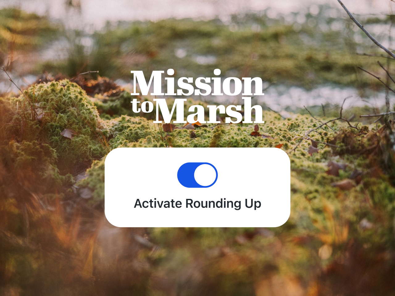 The photograph shows a close-up of the vegetation in a marsh. Large white letters form the logo of the organization “Mission to Marsh.” Below it is the button from the Tomorrow app that activates Rounding Up.