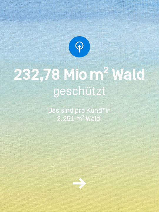 Ihr habt 232,78 Mio Quadratmeter Wald geschützt. Das sind durchschnittlich 2251 Quadratmeter pro Kund*in.
