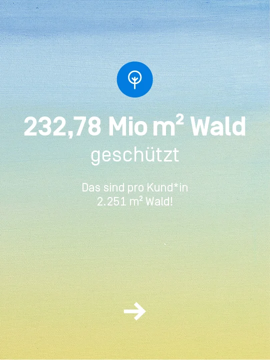 Ihr habt 232,78 Mio Quadratmeter Wald geschützt. Das sind durchschnittlich 2251 Quadratmeter pro Kund*in.
