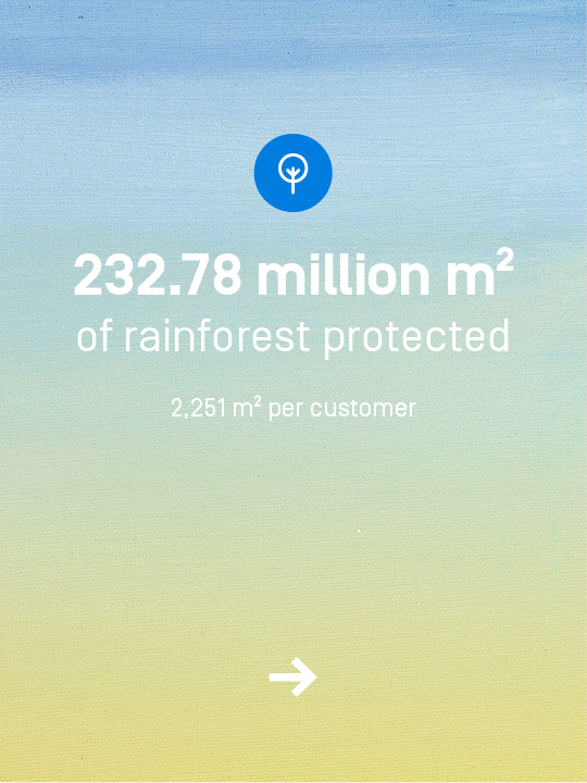 You have protected 232.78 million square meters of rainforest. That's an average of 2251 square meters per customer.
