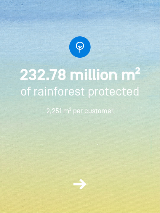 You have protected 232.78 million square meters of rainforest. That's an average of 2251 square meters per customer.