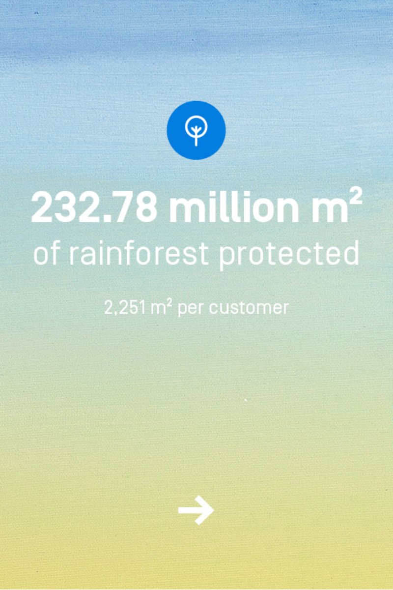 You have protected 232.78 million square meters of rainforest. That's an average of 2251 square meters per customer.
