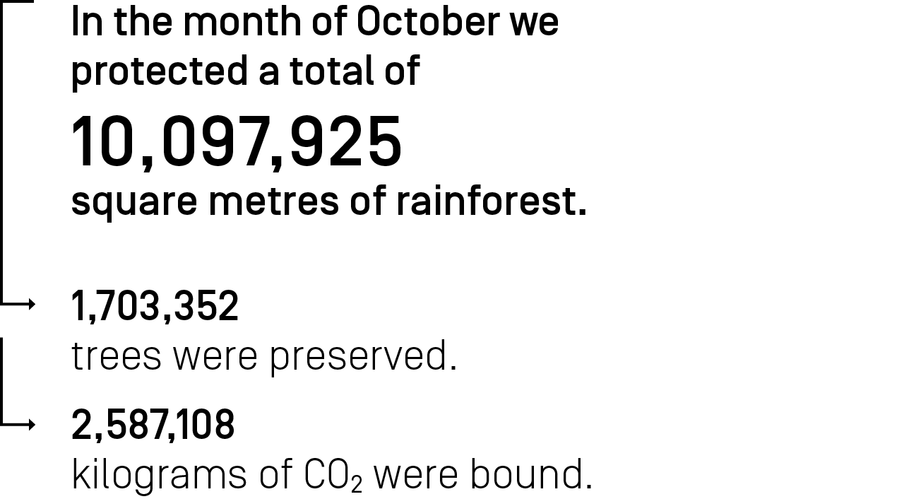 In the month October we protected a total of 10,097,925 square meters of rainforest.
