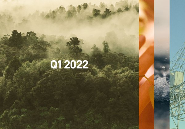 Ein Waldbild. Text darauf: Q1 | 2022