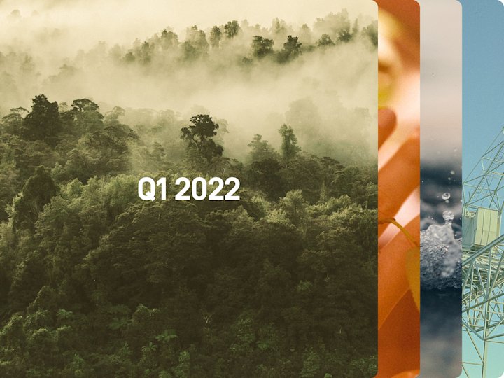Ein Waldbild. Text darauf: Q1 | 2022