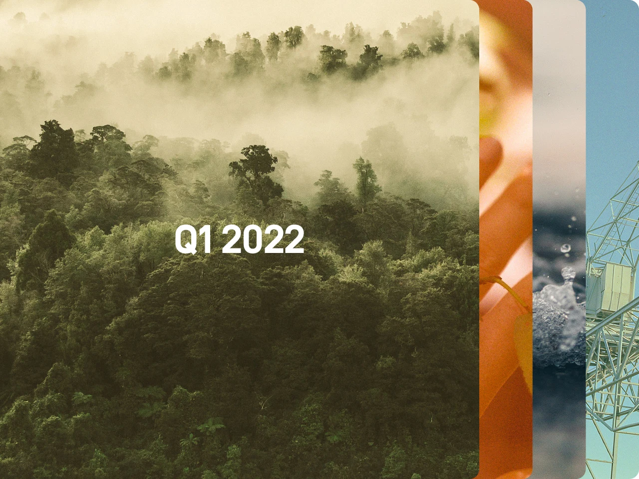Ein Waldbild. Text darauf: Q1 | 2022