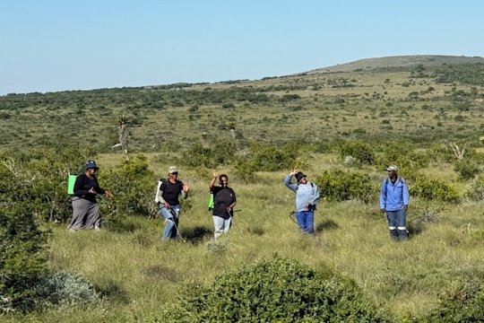 Five employees of the Spekboom project can be seen on the project site.
