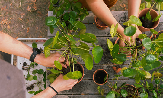 Only parts of the upper body and arms of the two people can be seen, they are wearing short-sleeved tops.