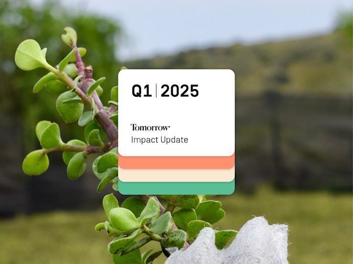 Auf dem Bild ist eine Spekboom Pflanze zu sehen, darauf geschrieben steht: Tomorrow | Impact Update | Q1 | 2025 |