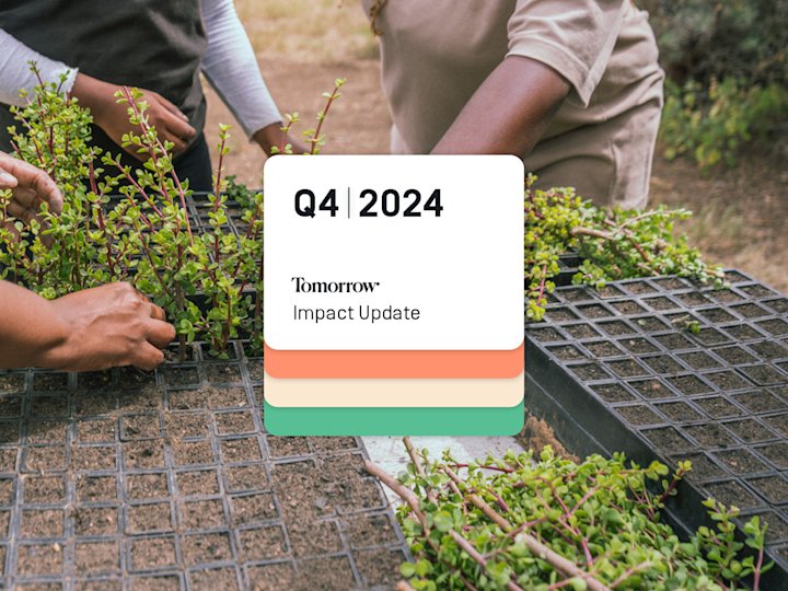 The picture shows the hands of employees of the Spekboom project who are planting the plants in the ground.