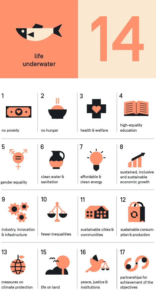 Die SDGs als Icons dargestellt.