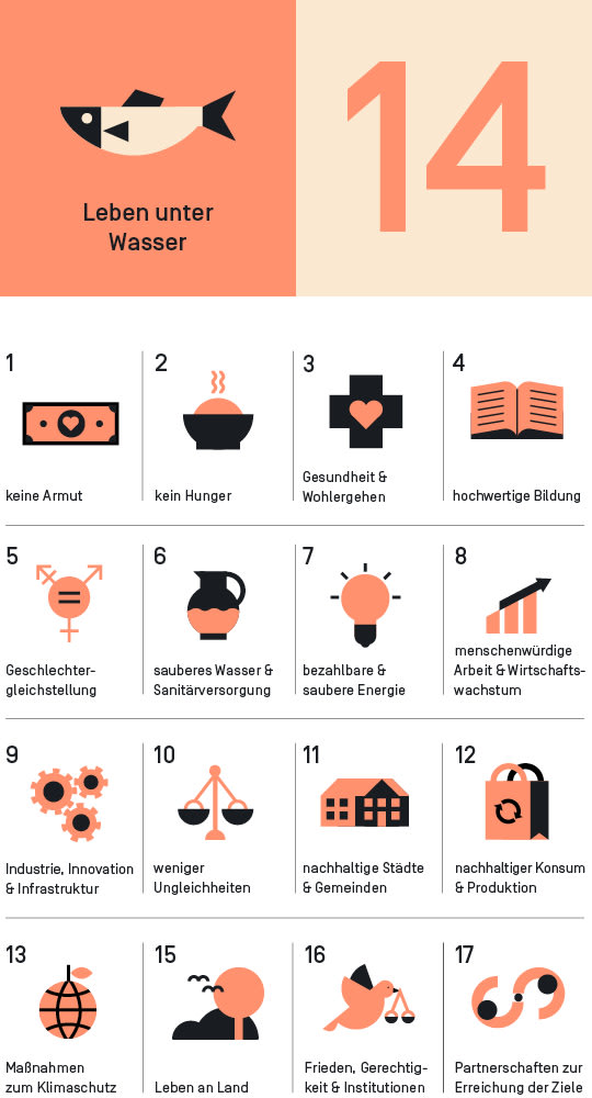 Die SDGs als Icons dargestellt.