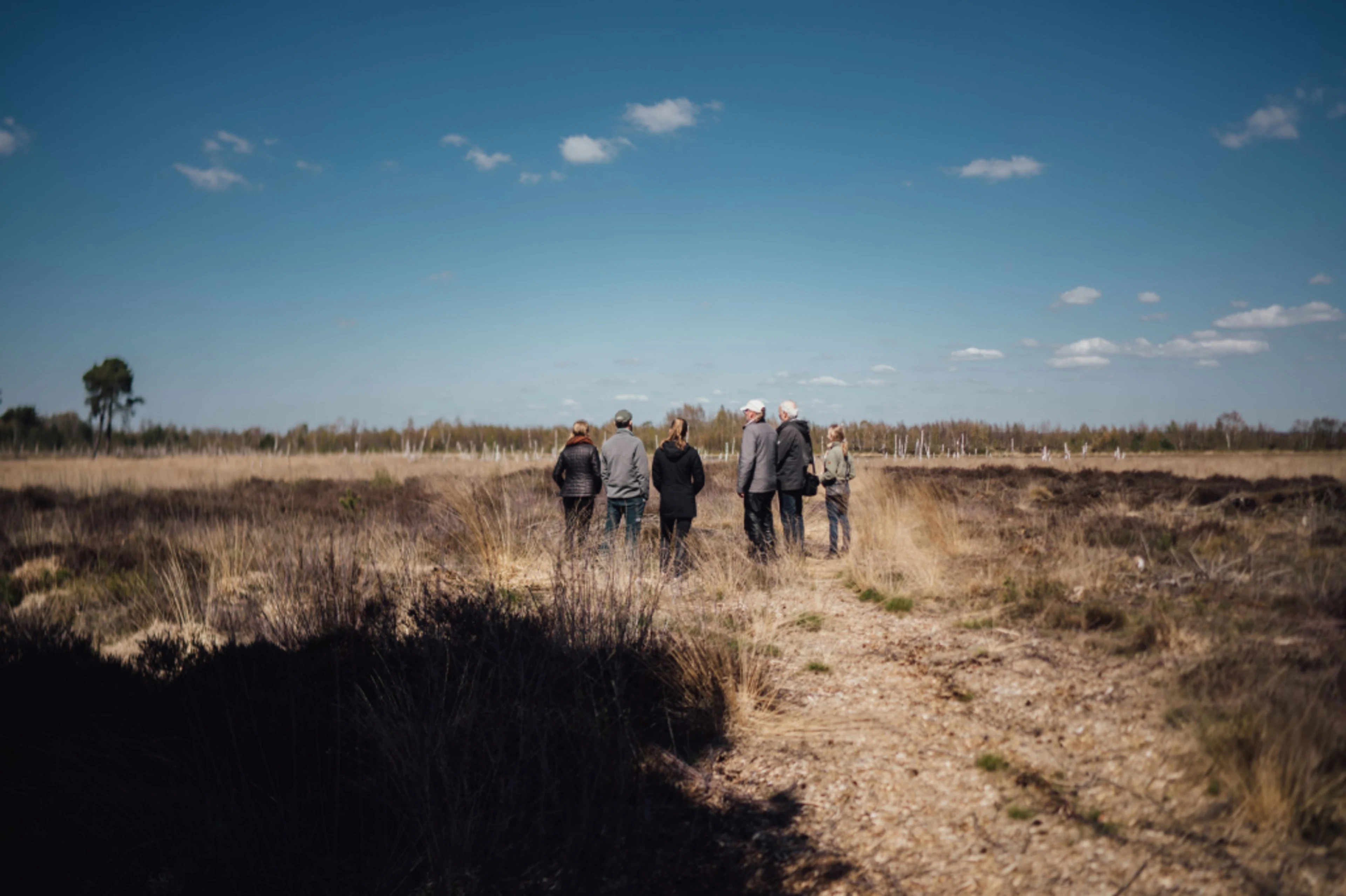 Six people stand with their backs to the viewer in a landscape. The landscape is barren and dry. The sky is blue with scattered clouds.