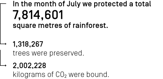 7.814.601 Quadratmeter Regenwald haben wir im Monat Juli ingesamt geschützt.
In the month July we protected a total of 7,814,601 square meters of rainforest.