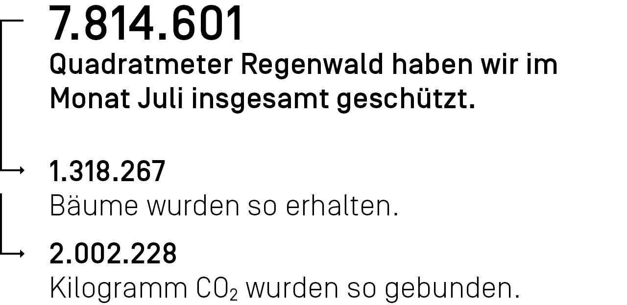 7.814.601 Quadratmeter Regenwald haben wir im Monat Juli ingesamt geschützt.
In the month July we protected a total of 7,814,601 square meters of rainforest.