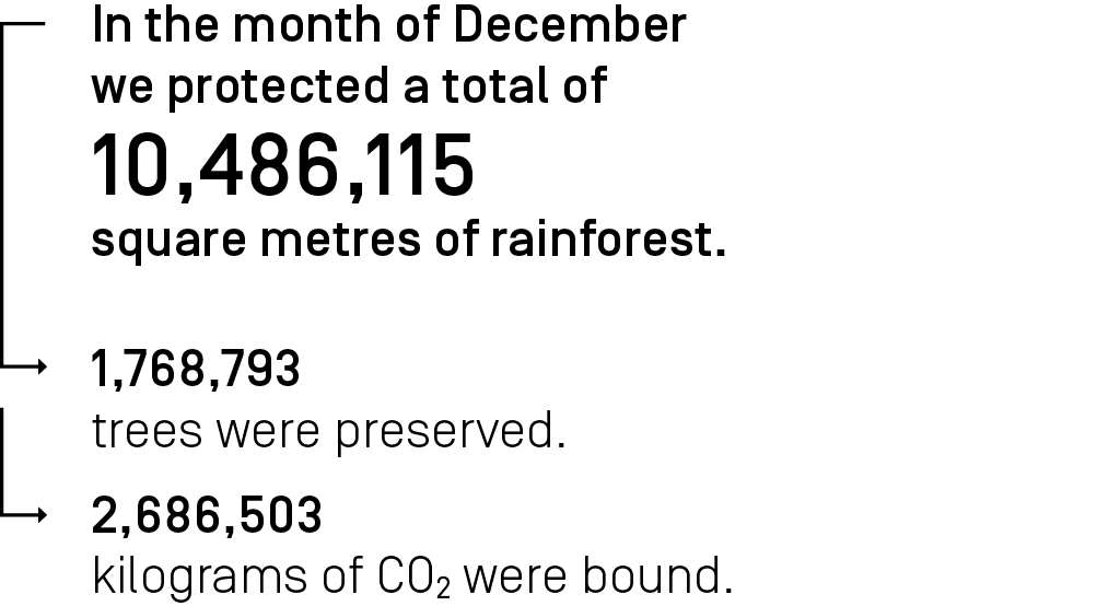 In the month December we protected a total of 10,486,115 square meters of rainforest.