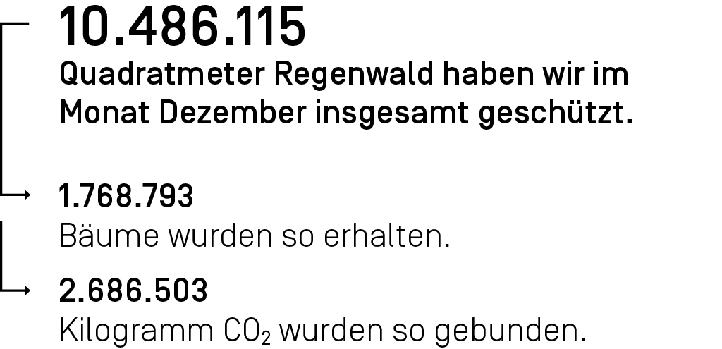 10.486.115 Quadratmeter Regenwald haben wir im Monat Dezember ingesamt geschützt.