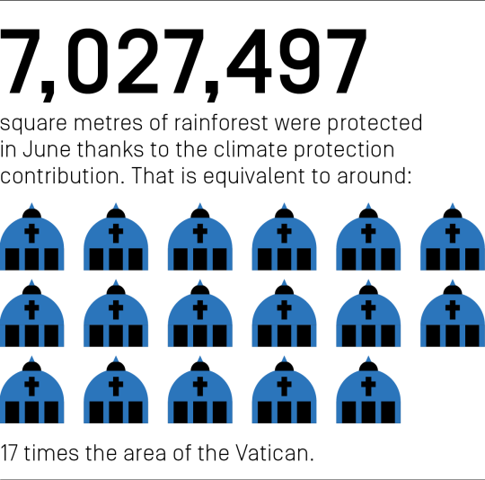 7,027,497 square meters of rainforest were protected in June thanks to the climate protection contribution. That is equivalent to around 17 times the area of the Vatican.