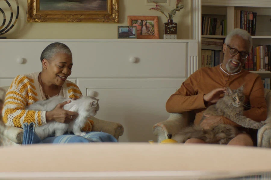 Senior couple with cats