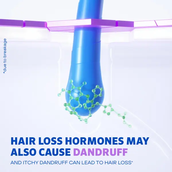 Diagram of blue hair follicle, green molecule, and purple dandruff with hair loss hormone Diagram of blue hair follicle, green molecule, and purple dandruff with hair loss hormone