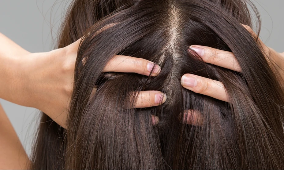 Close up of the back of a woman's head with long brown hair with her hands in her hair