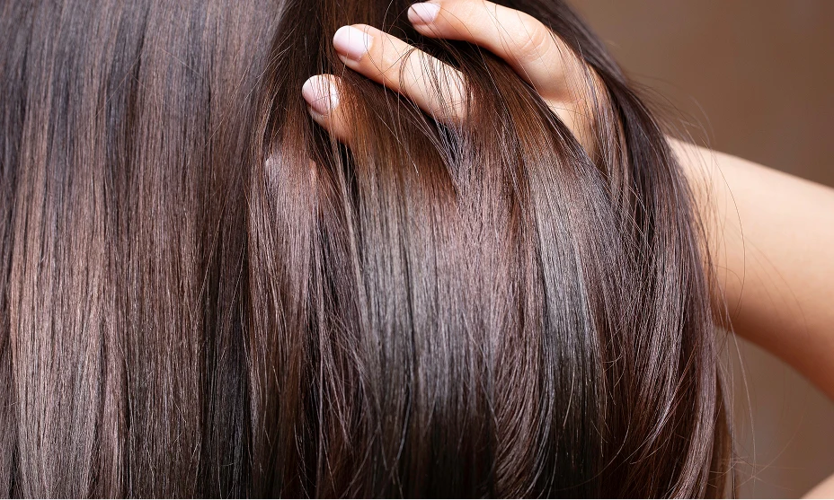 Close up shot of long brown hair.