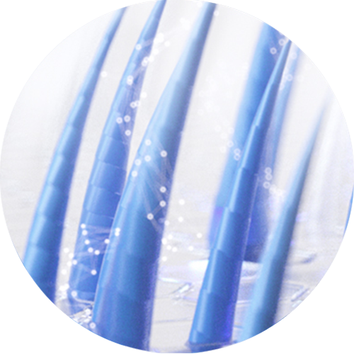 An illustration of hair follicles that are maintaining hair regrowth results.