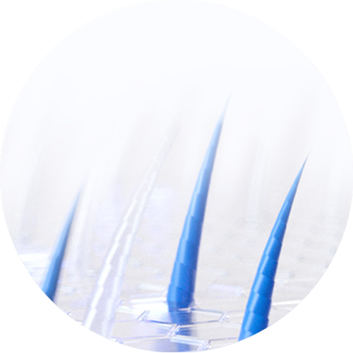 An illustration depicting the regrowth of soft, baby hairs.