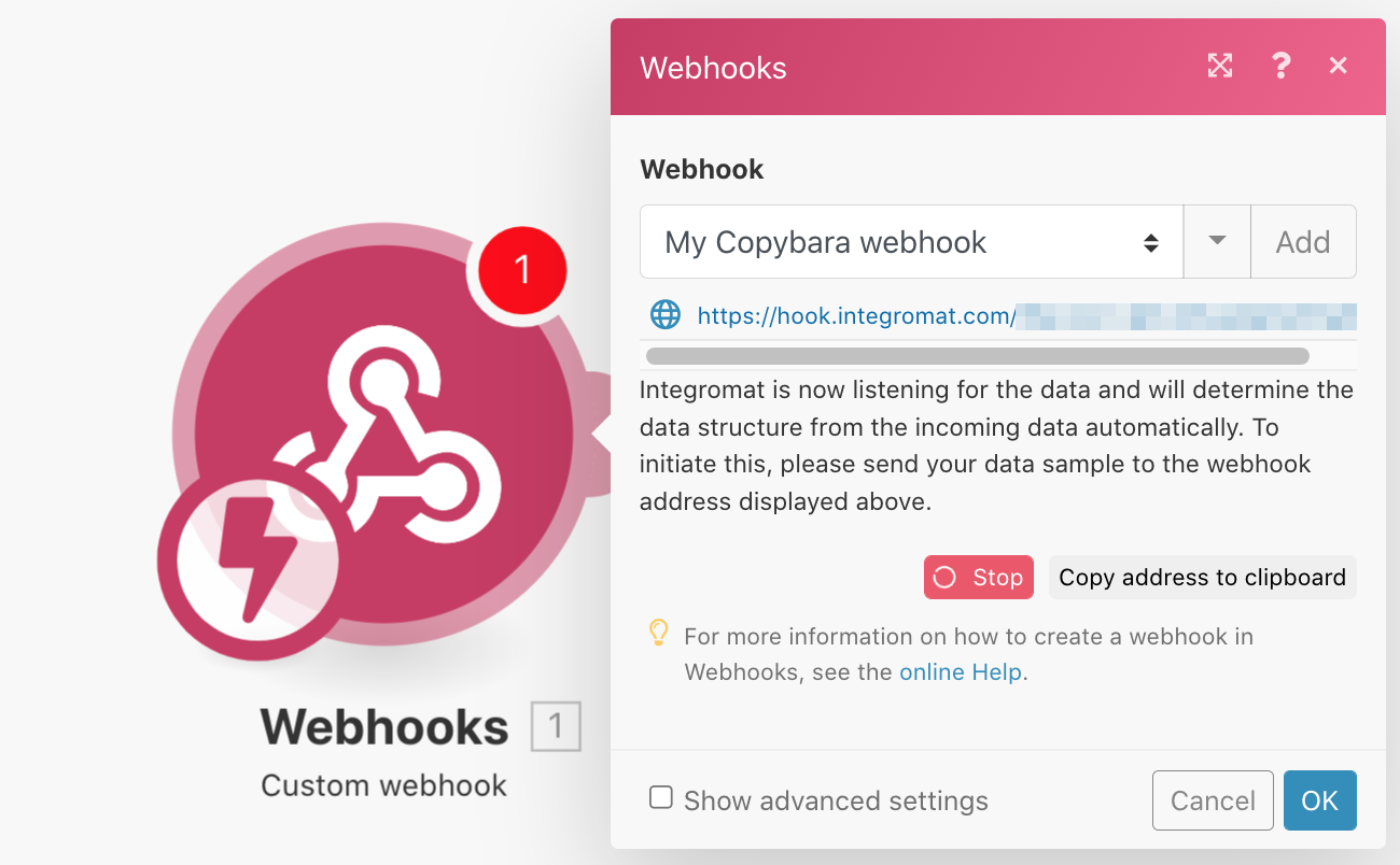 Make - Copy webhook address