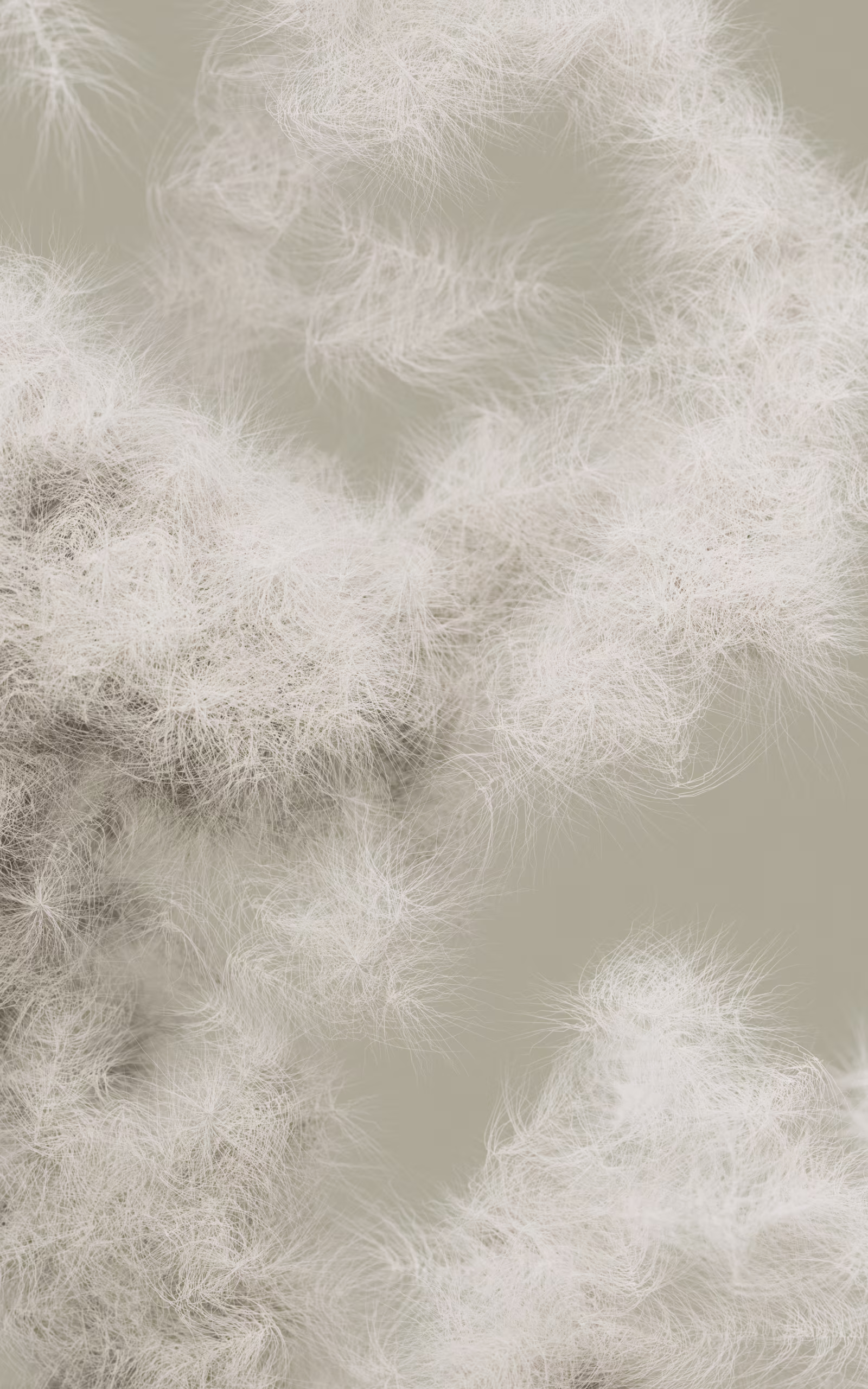 Care and repair Sleeping bag H-down