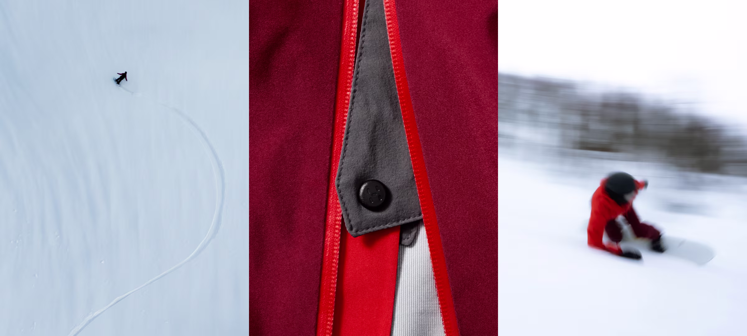 Alper Proof Skier and detailed