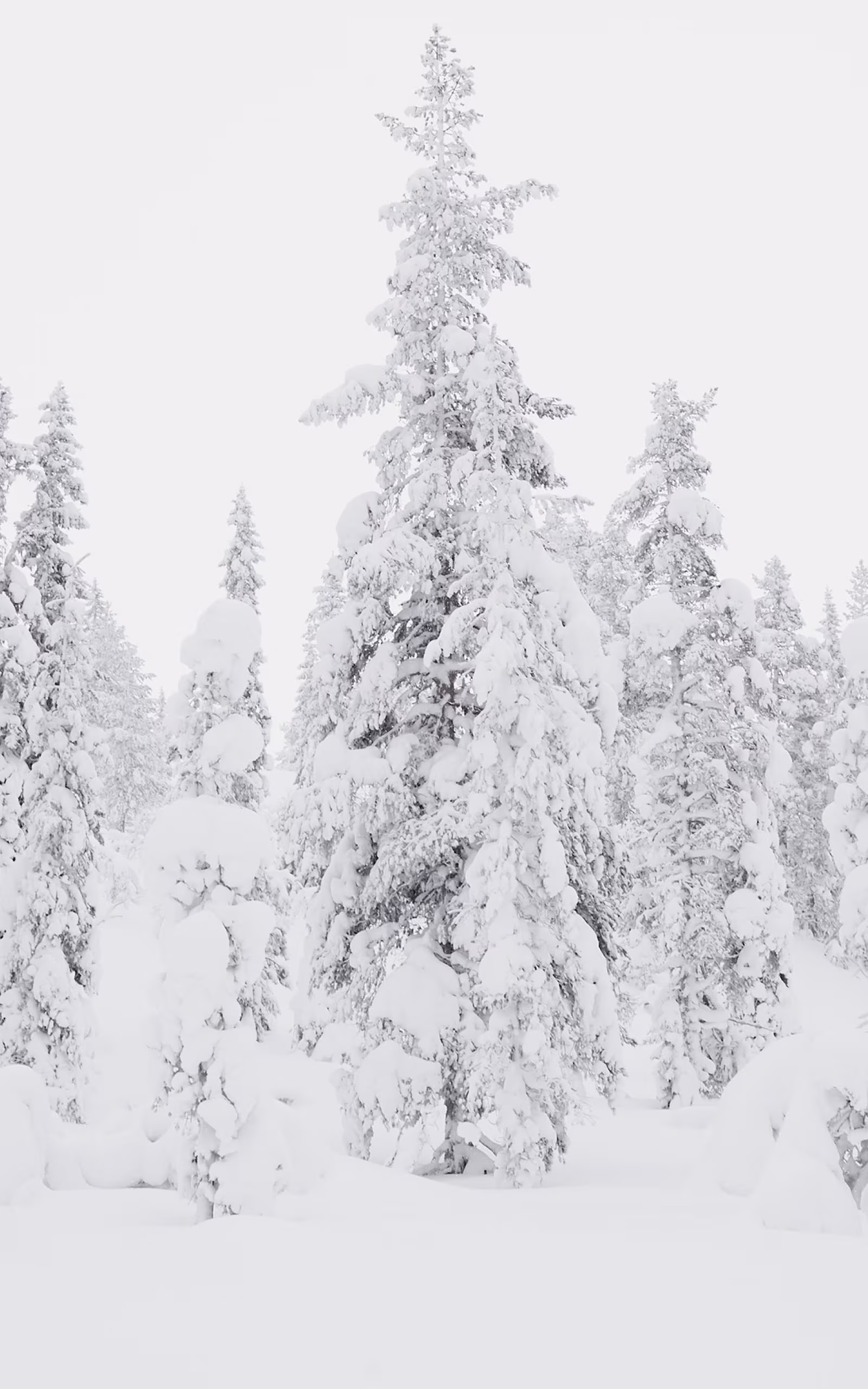 Care and repair Insulation Occasionally